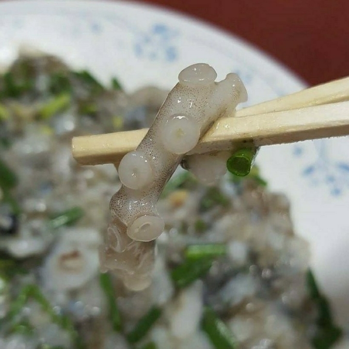 무안뻘낙지 이미지