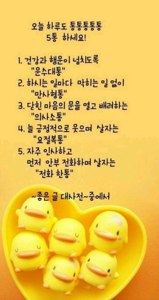 머리하는날 이미지