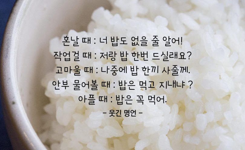 쌀 이미지
