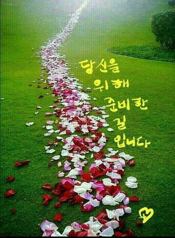 운도 이미지