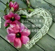 카페 사랑 이미지