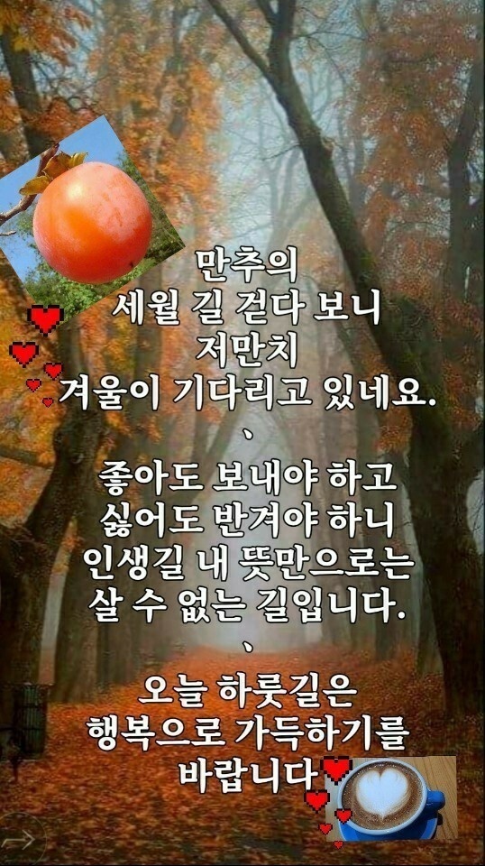 정훈이불 이미지
