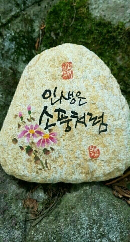 천년지기 이미지