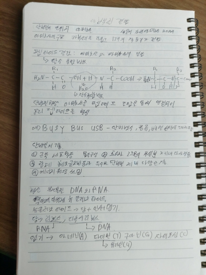 1학년 1반 이미지