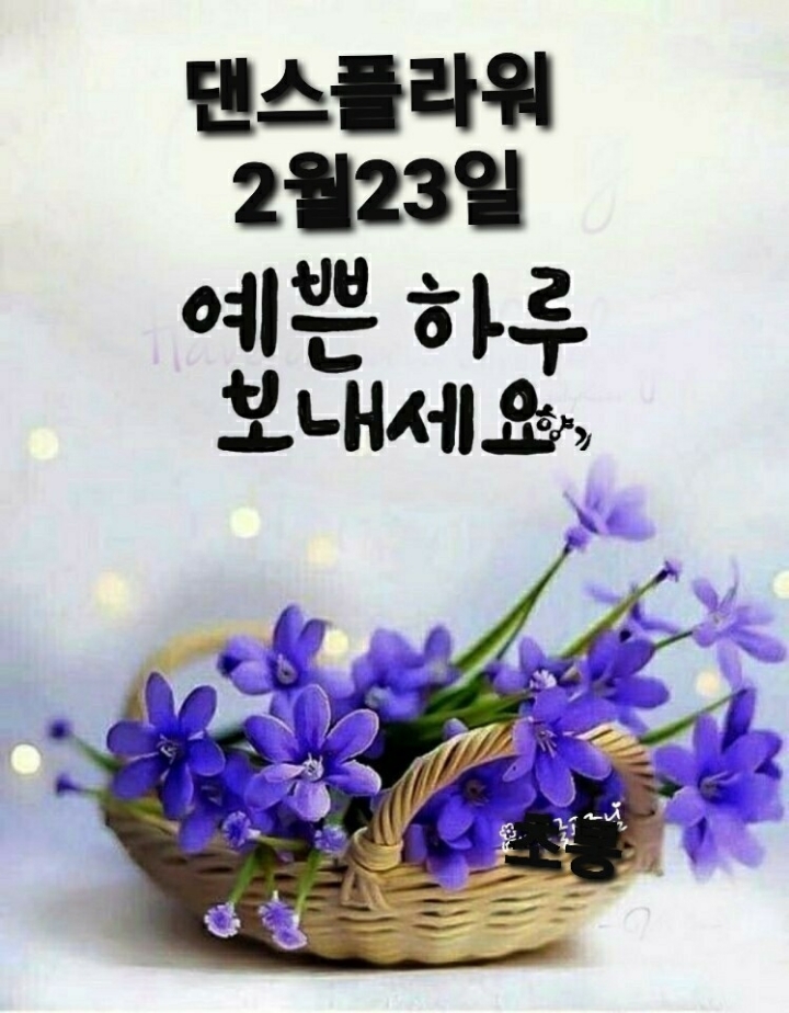 정플라워 이미지