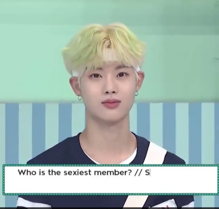 배추머리 이미지