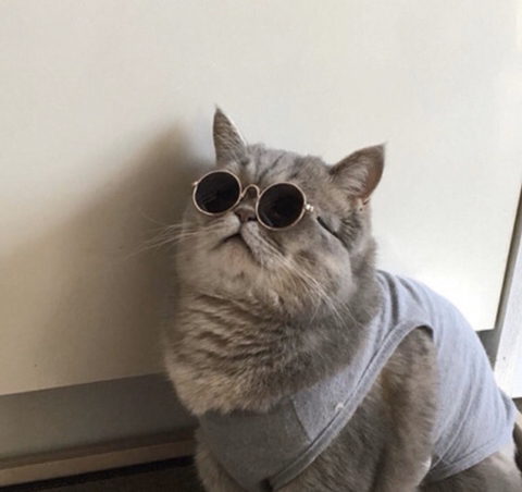 언더비 이미지