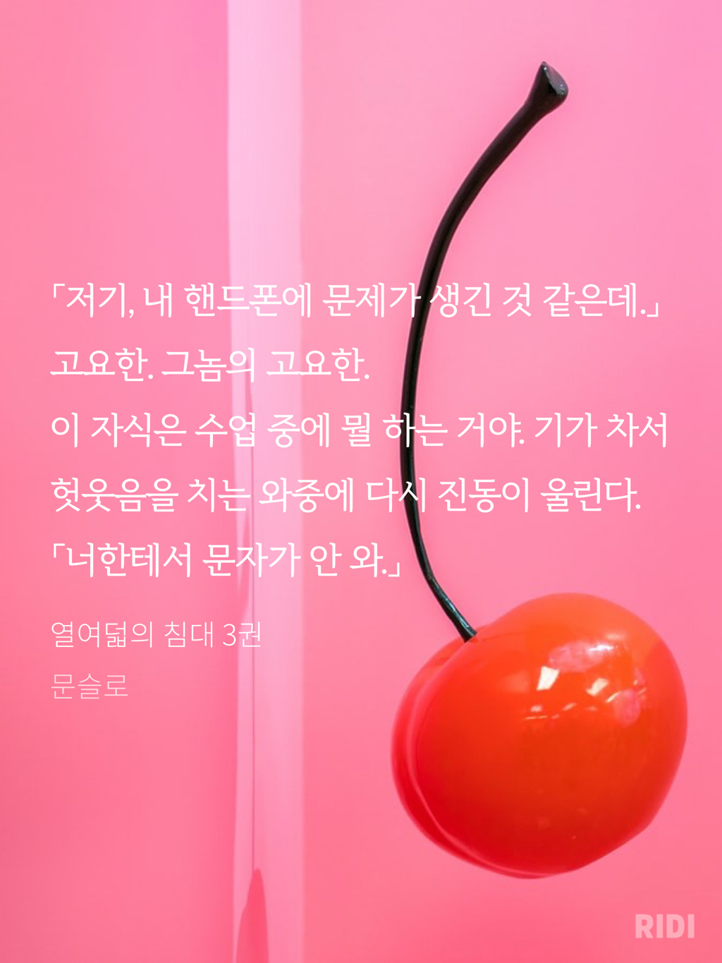 홍불 이미지