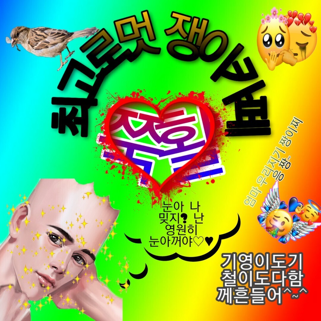 미욜 이미지