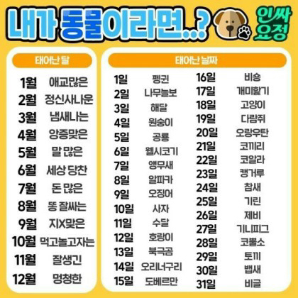 해바 이미지