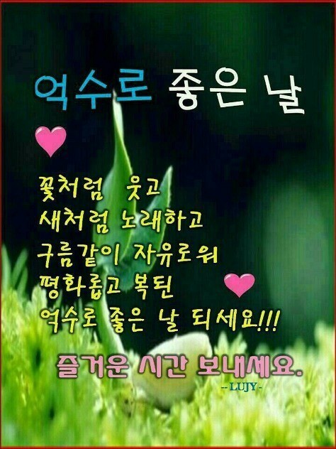 님아 이미지