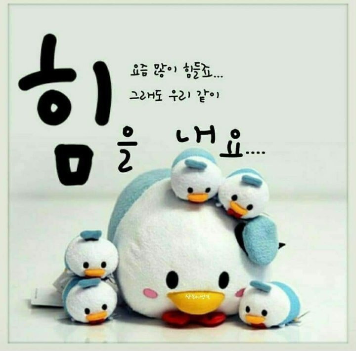 희 이미지