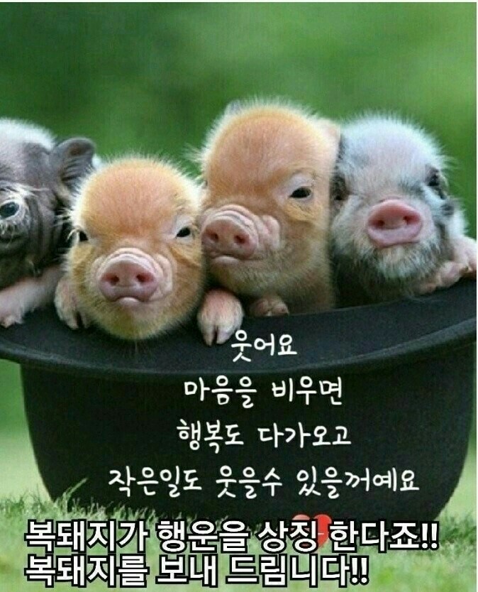 간월도노을펜션 이미지