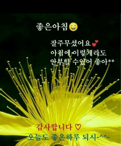다정해 이미지
