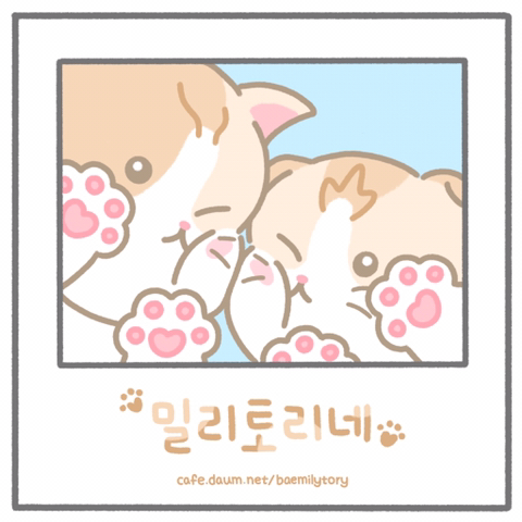 광인네 이미지