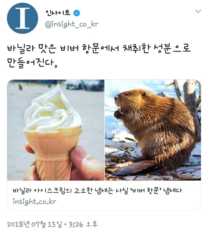 비버 이미지