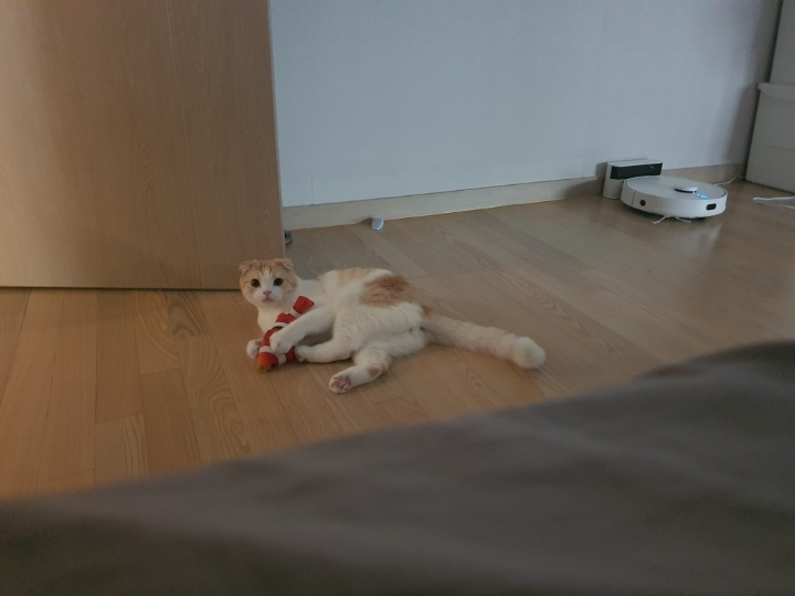 밀모닝 이미지