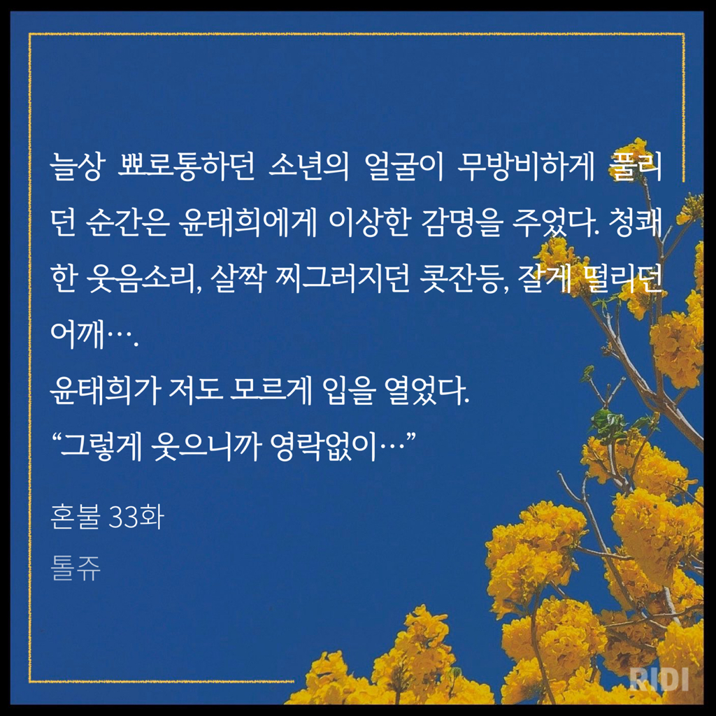 홍불 이미지