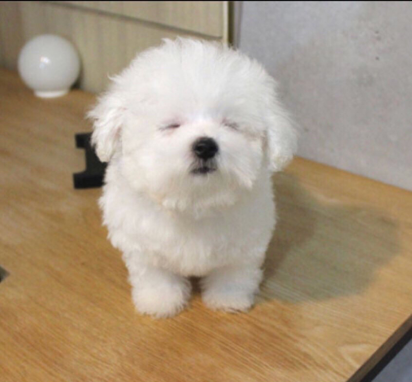 안녕하세요 이미지