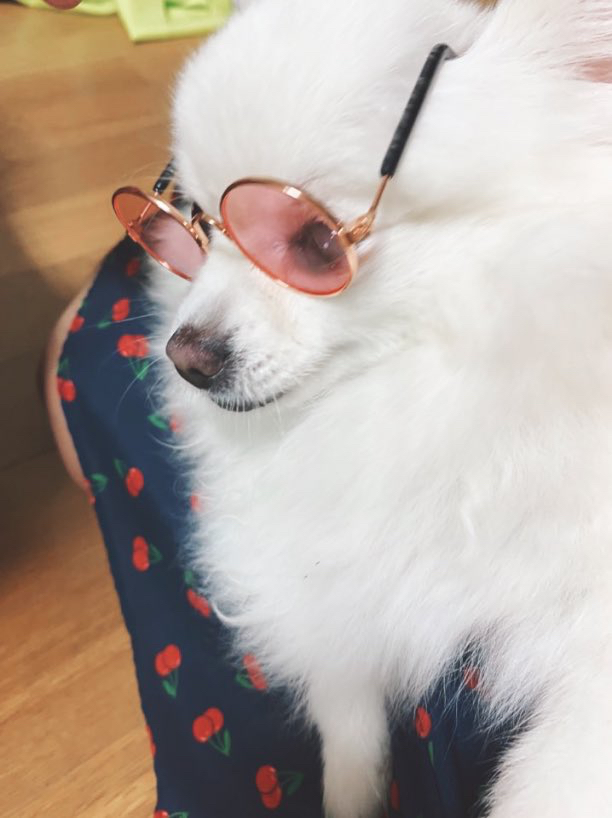 지유네일 이미지