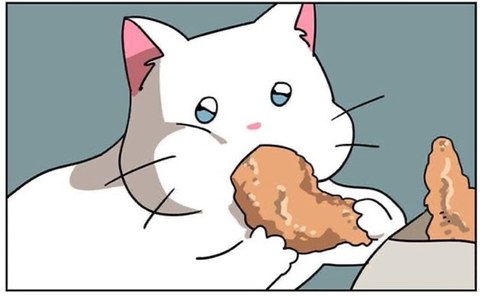 소라야 이미지