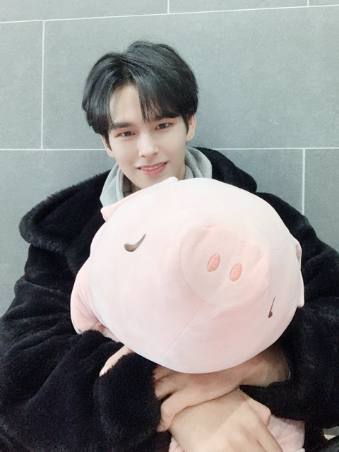핑돼 이미지