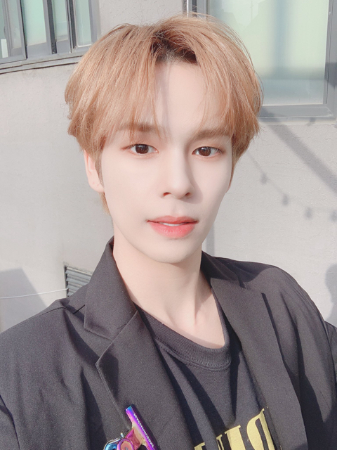 세림 이미지