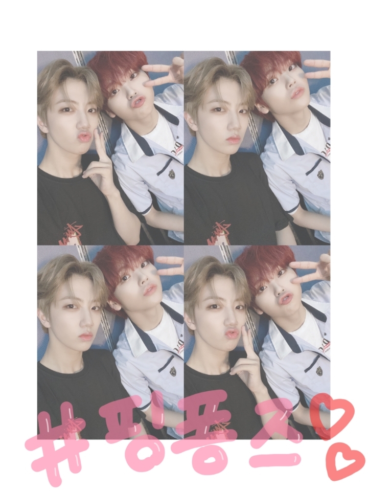 퐁즈 이미지