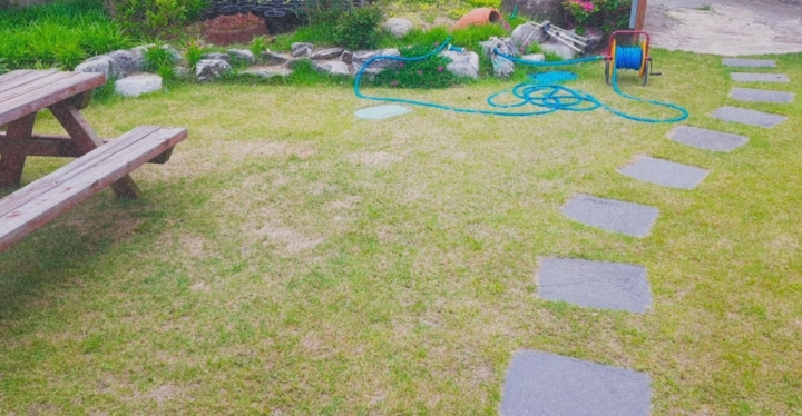 세림 이미지