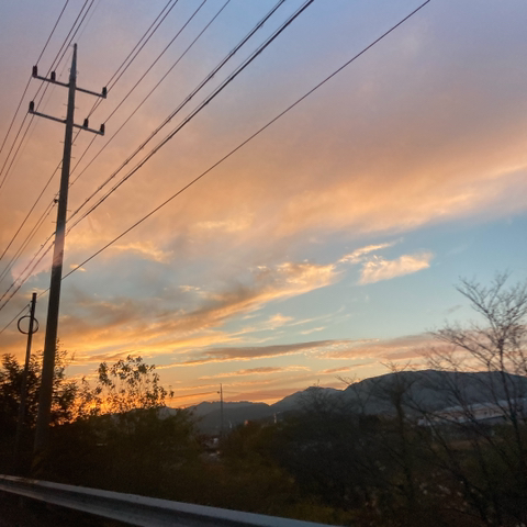 세림 이미지