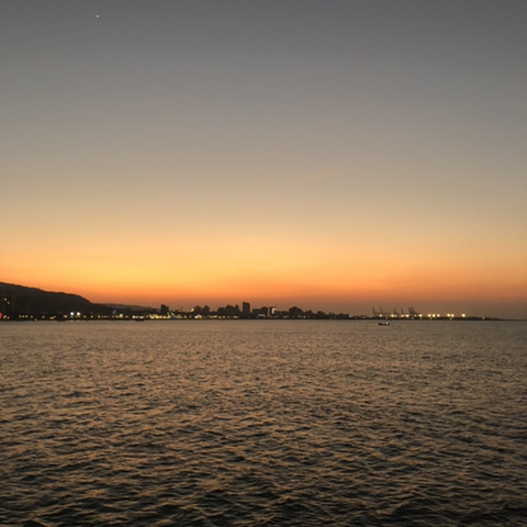 세림 이미지