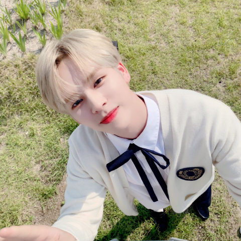 세림 이미지