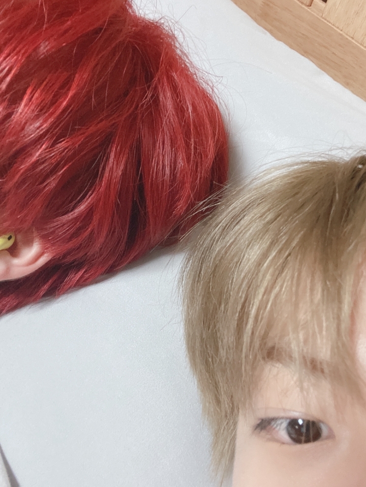 퐁즈 이미지