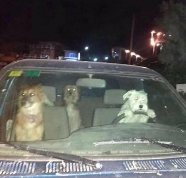 네오 이미지