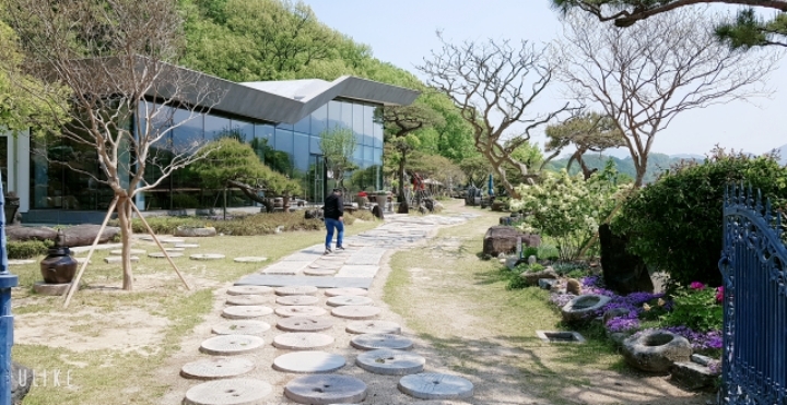 소나무와커피 이미지