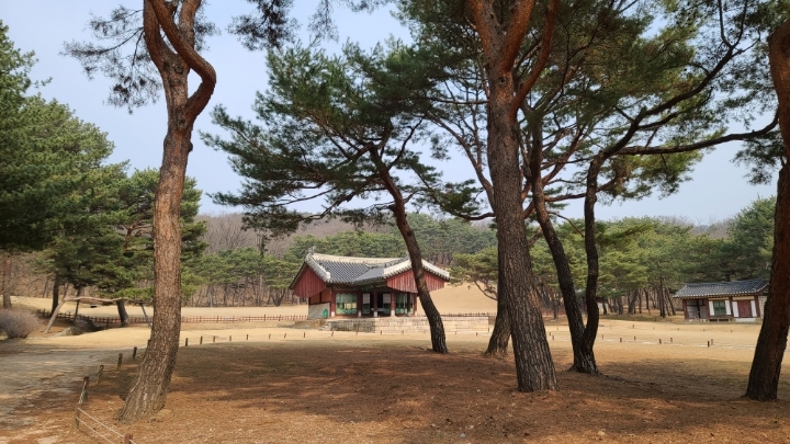 소문난녹두전집 이미지