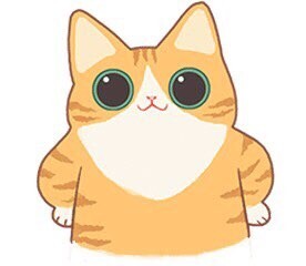 플비 이미지