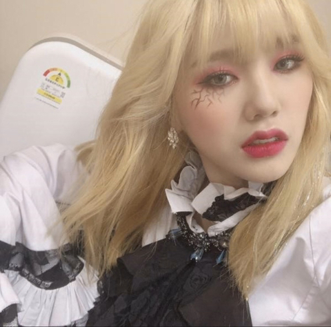 베리나이스 이미지