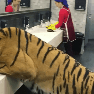 호랑이, 화장실 그리고 아줌마 | 인스티즈