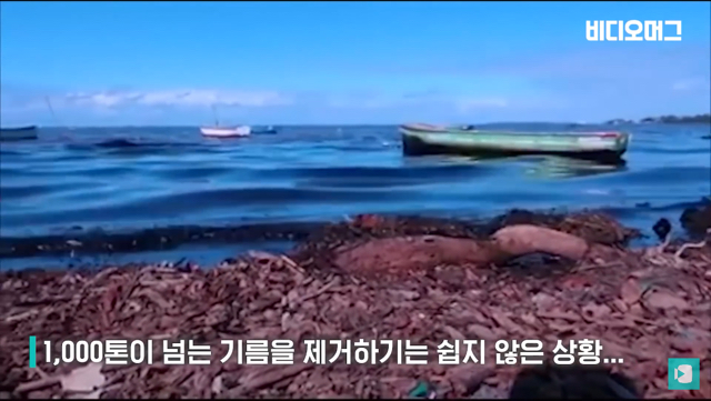 일본 선박 때문에 역대 최악의 환경재해를 겪고 있는 모리셔스.jpg | 인스티즈