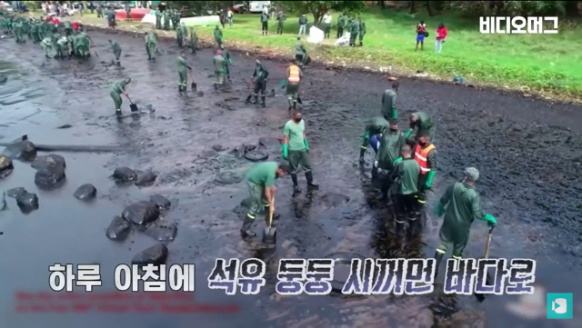 일본 선박 때문에 역대 최악의 환경재해를 겪고 있는 모리셔스.jpg | 인스티즈