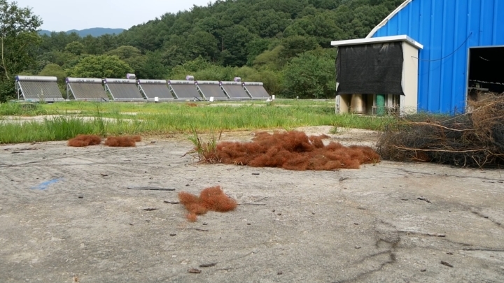 haha ha 야통이 vlog | 인스티즈