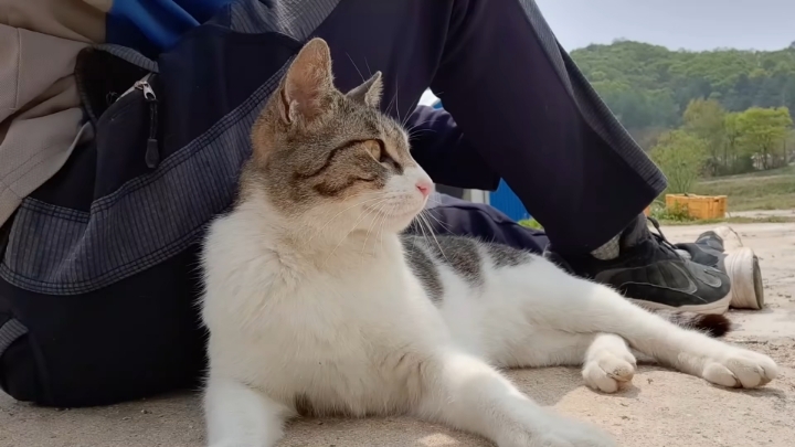 haha ha 앞에서 대놓고 광고하는데 거부감이 없다 | 인스티즈