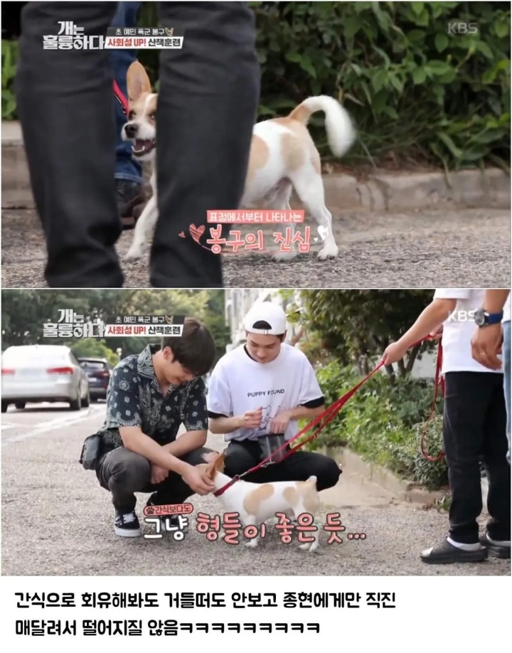 문제견이 있었는데요....없었습니다.jpg | 인스티즈