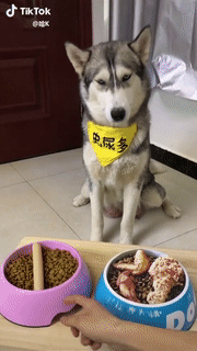 어이...가 없네 이 사람쉐끼가 | 인스티즈