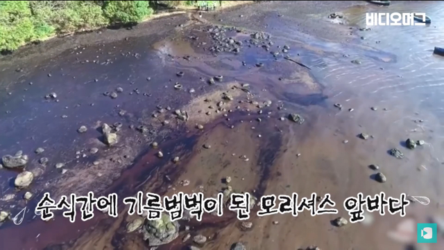 일본 선박 때문에 역대 최악의 환경재해를 겪고 있는 모리셔스.jpg | 인스티즈
