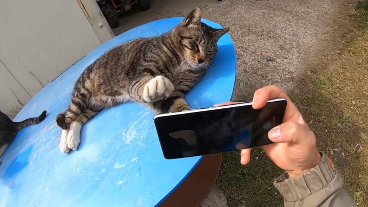 haha ha 앞에서 대놓고 광고하는데 거부감이 없다 | 인스티즈