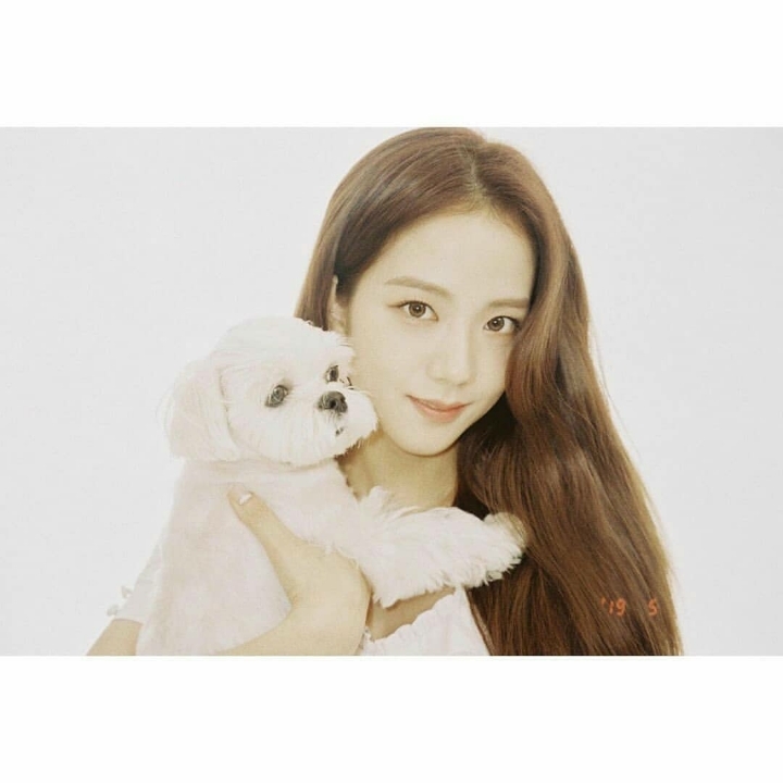달곰 이미지