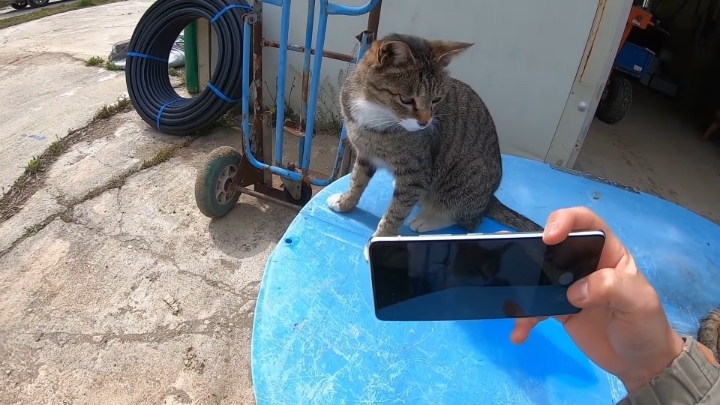 haha ha 앞에서 대놓고 광고하는데 거부감이 없다 | 인스티즈