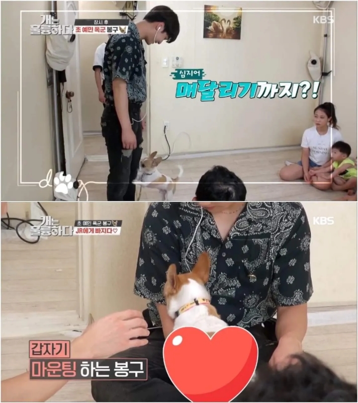 문제견이 있었는데요....없었습니다.jpg | 인스티즈